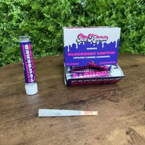 2.5 PR blueberry muffin PD