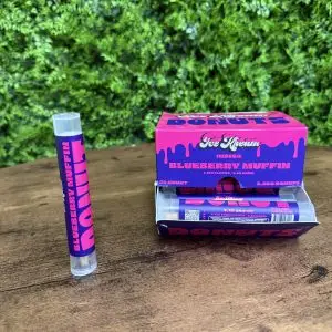 2.25 PR blueberry muffin donuts